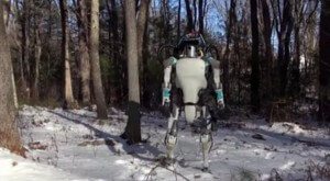 Atlas goes for a walk in the snow.